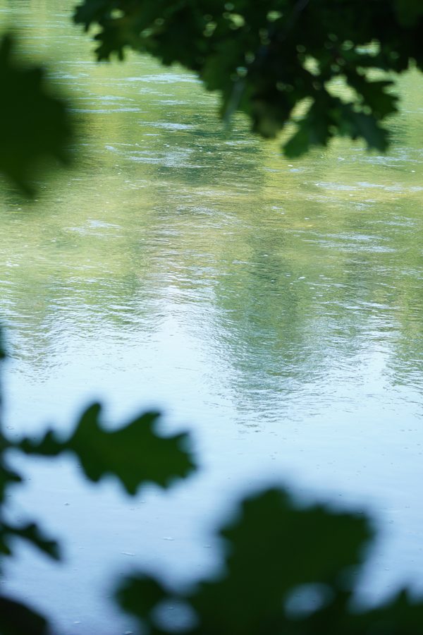 Rhein bei Flaach